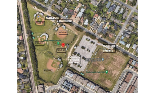 Field Layout