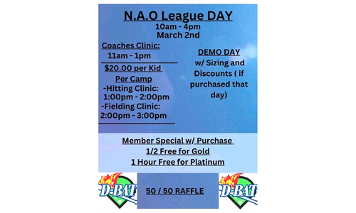 NAO League Day at D-Bat
